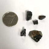 Elite Shungite (Multiple Options)