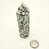 Kiwi Jasper Tower