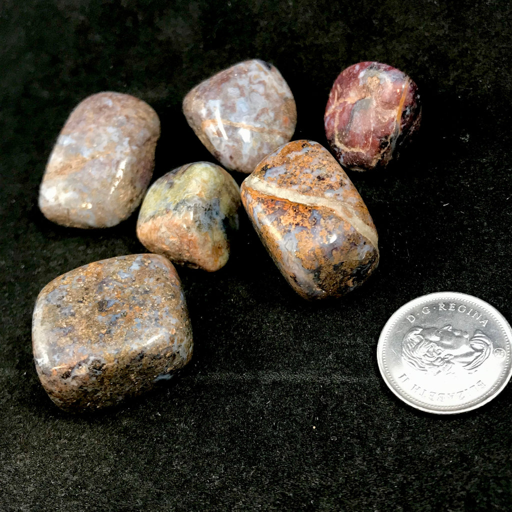 Pietersite