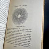 Cosmic Forces of MU - James Churchward (FIRST EDITION, 1934)