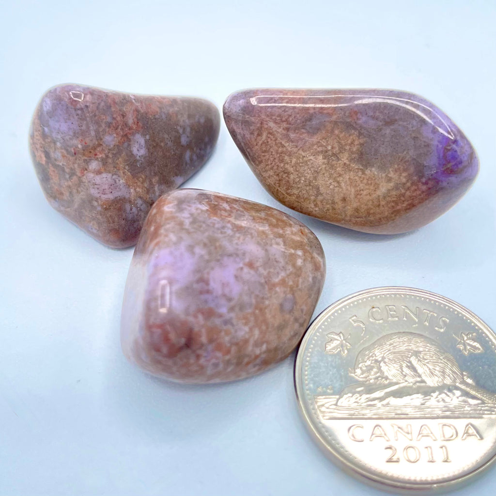 Purple Jade (Multiple Options)