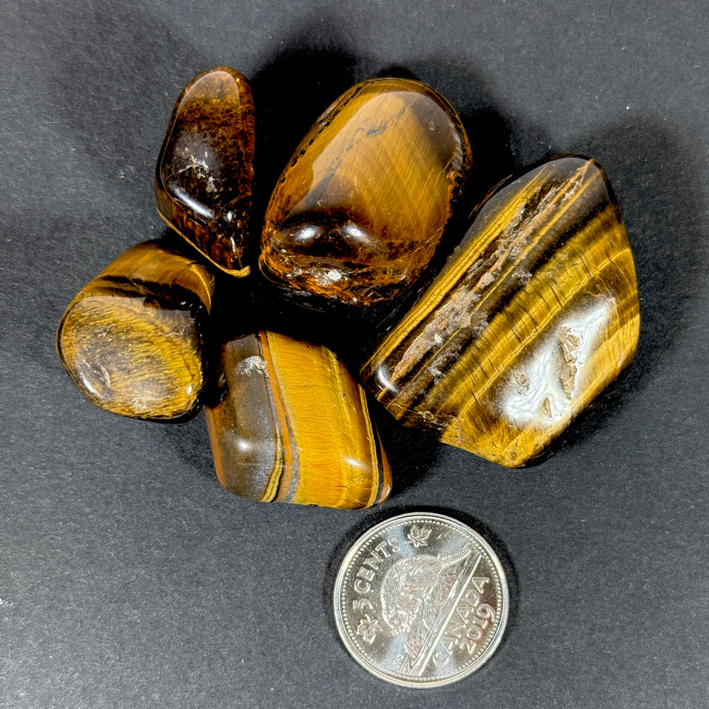 Golden Tiger's Eye (Multiple Options)