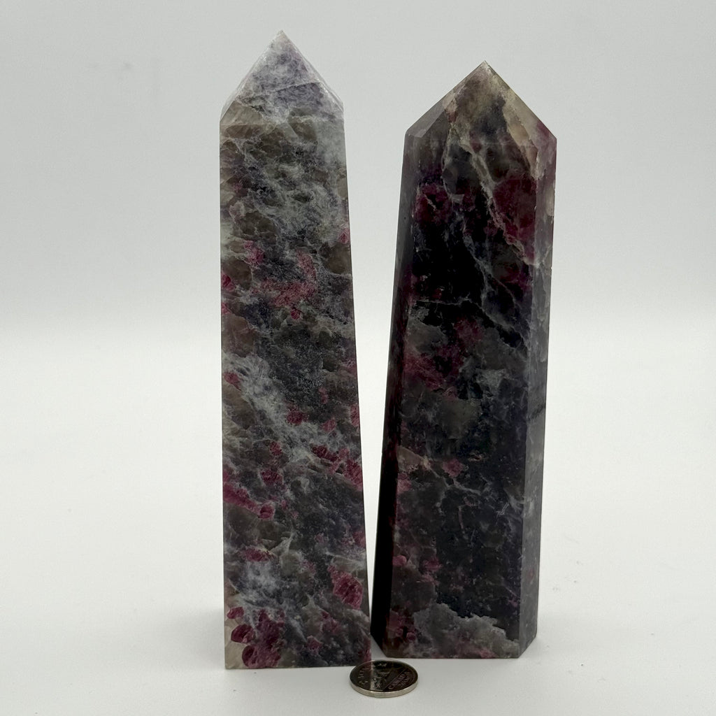 Unicorn Tower (Multiple Options)