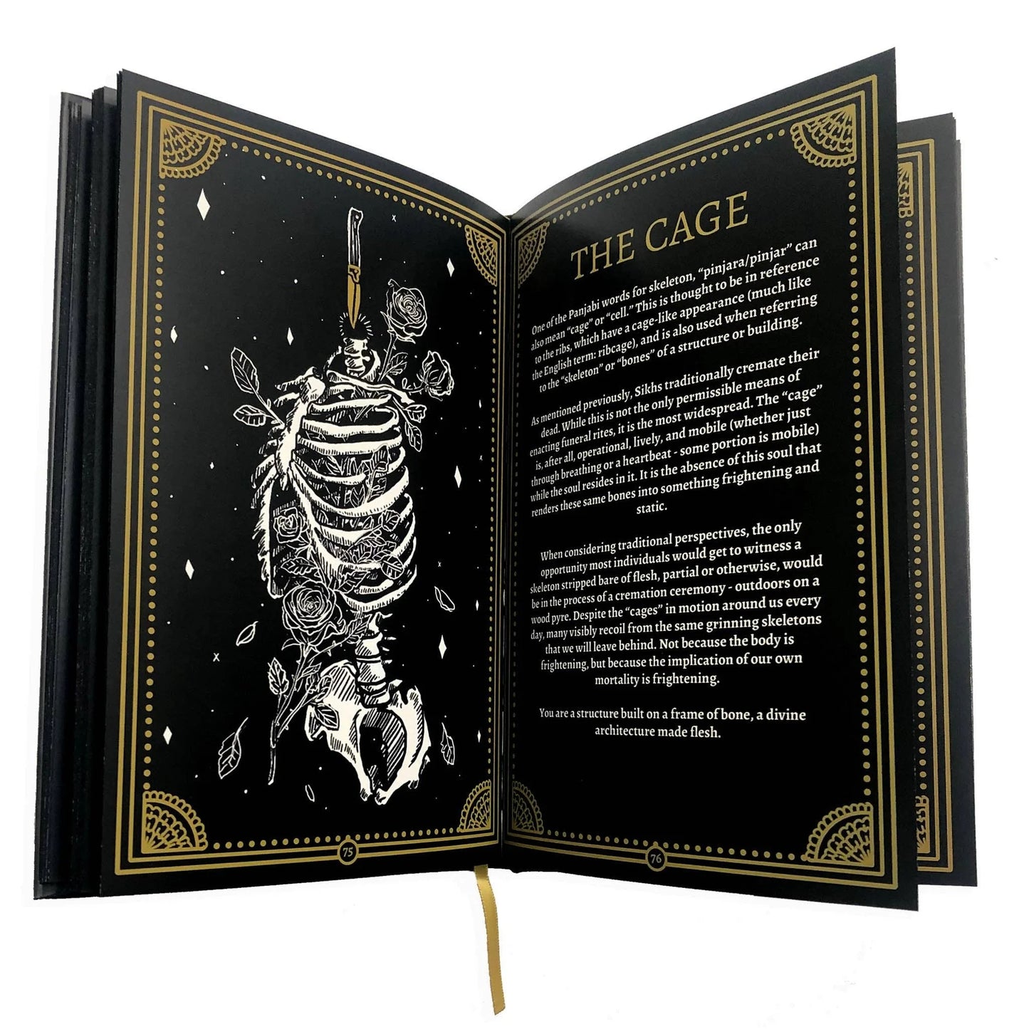 Marigold Tarot: A Guide to the Symbolism