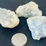 Celestite Cluster (Multiple Options)
