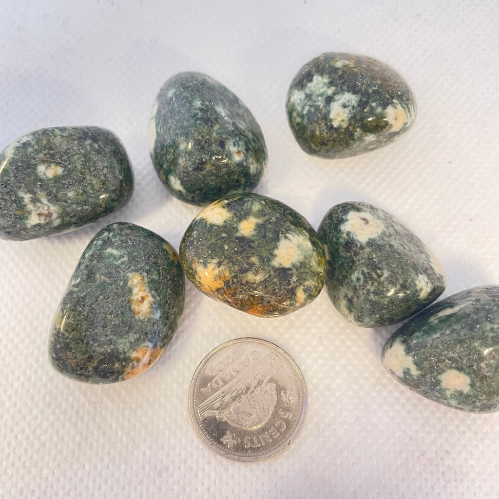 Preseli Bluestone "Stonehenge Stone" (multiple options)