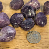 Lepidolite (Multiple Options)