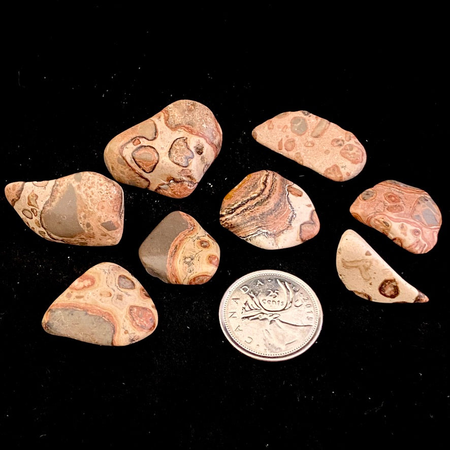 Leopard Skin Jasper (Peruvian)