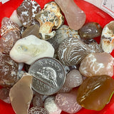 Snakeskin Agate (Multiple Options)