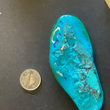 Malacolla (Multiple Options)