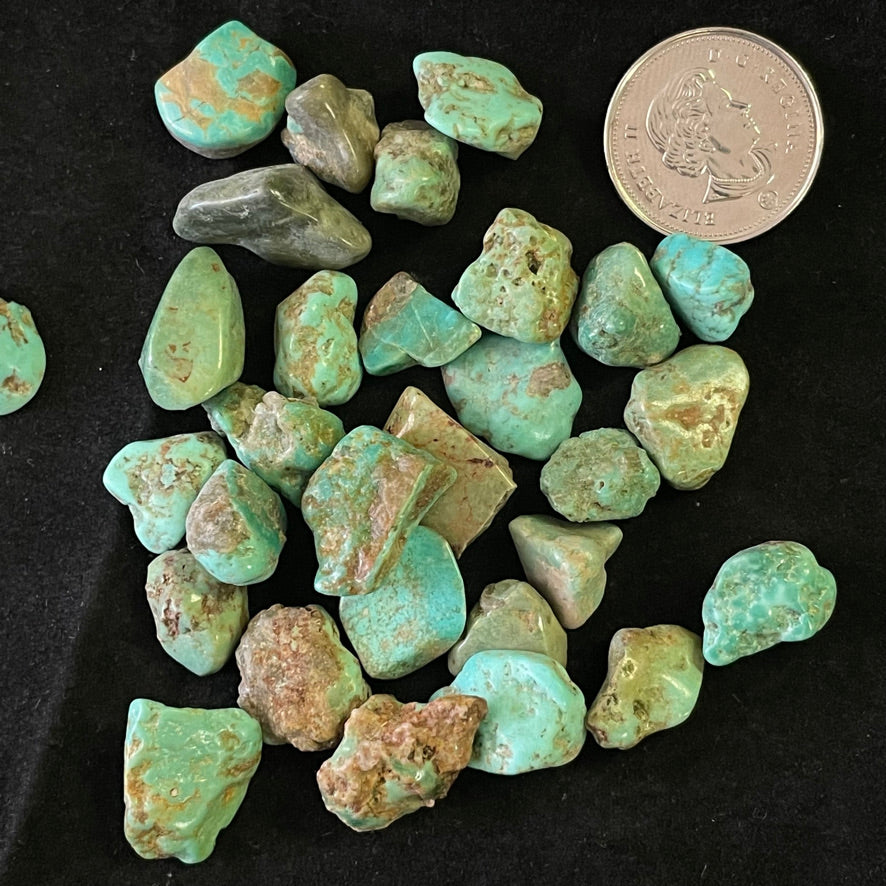 Turquoise (Multiple Options)