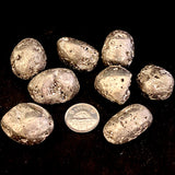 Iron Pyrite (Multiple Options)