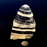 Zebra Calcite (Multiple Options)