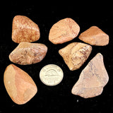 Picture Jasper (Multiple Options)