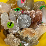 Snakeskin Agate (Multiple Options)