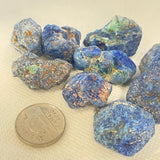 Malacolla (Multiple Options)