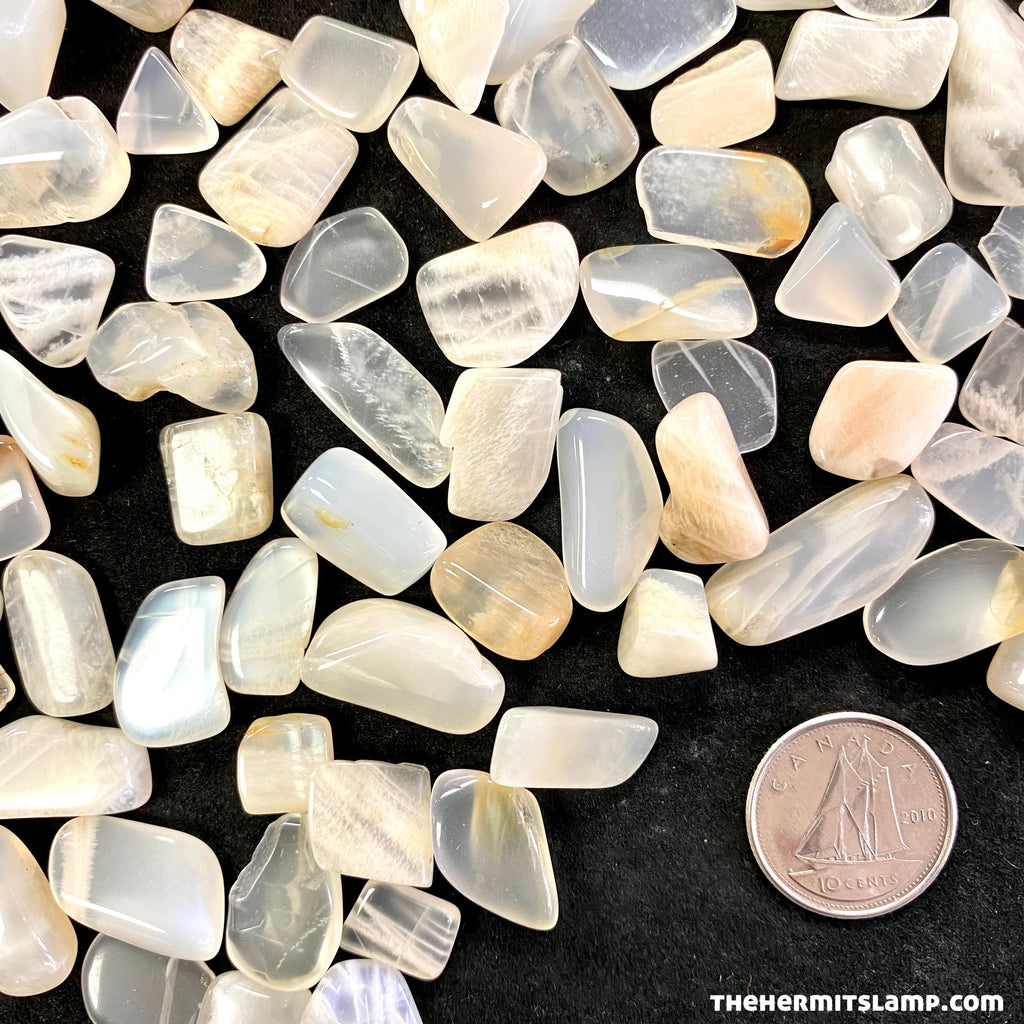 White Moonstone (Multiple Options)