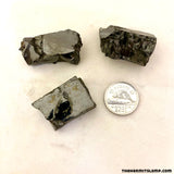 Elite Shungite (Multiple Options)