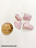 Kunzite (Multiple Options)