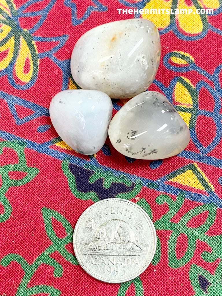 Merlinite Dendritic Opal (Multiple Options)