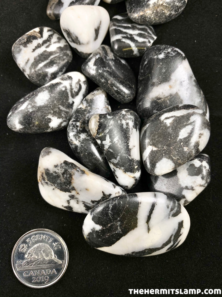 Zebra Jasper