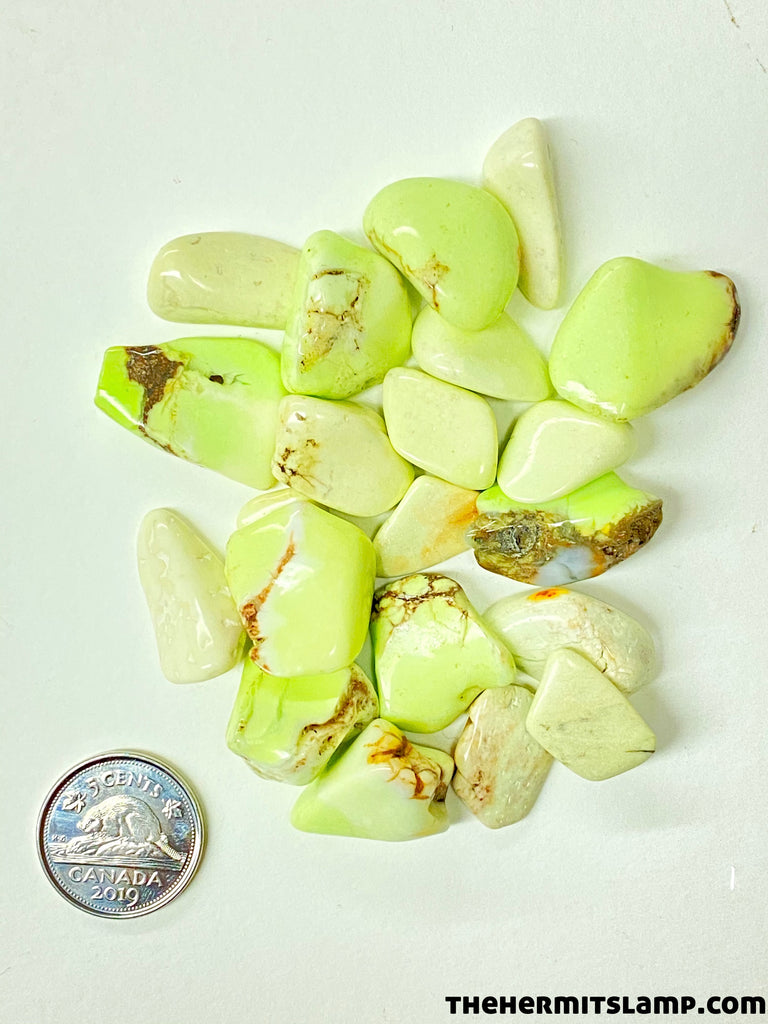 Chrysoprase (Multiple Options)