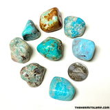 Turquoise (Multiple Options)