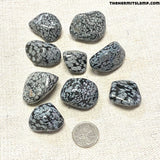 Snowflake Obsidian (Multiple Options)
