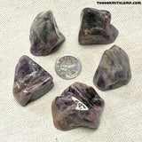 Super Seven (Multiple Options)