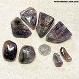 Super Seven (Multiple Options)