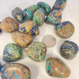 Malacolla (Multiple Options)