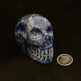 Lapis Lazuli Skulls (Multiple Options)