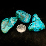 Malacolla (Multiple Options)