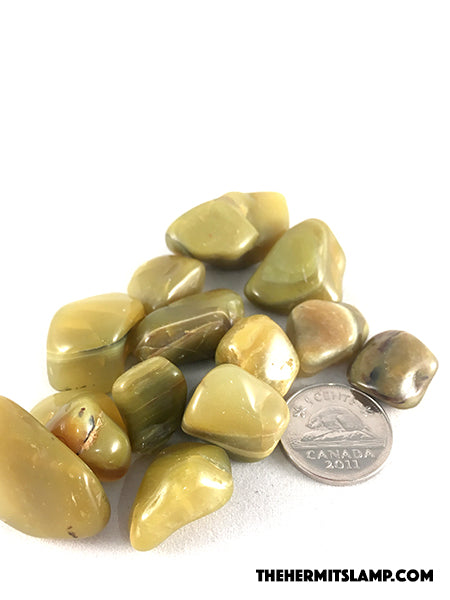 Olive Opal