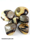 Septarian (Multiple Options)