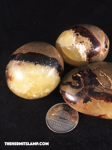 Septarian (Multiple Options)