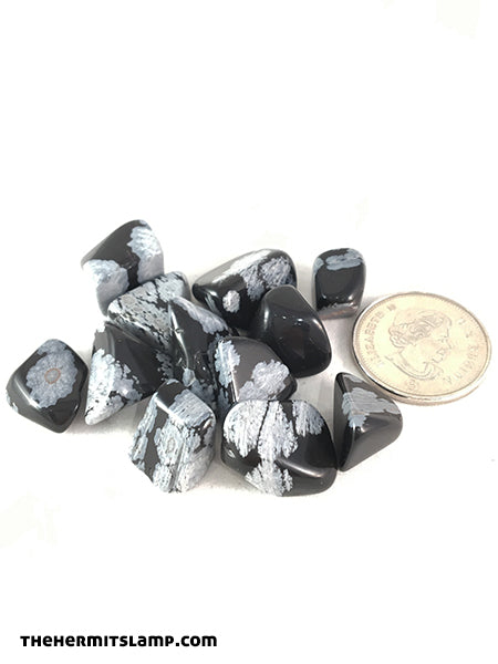 Snowflake Obsidian (Multiple Options)