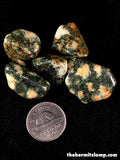 Preseli Bluestone "Stonehenge Stone" (multiple options)