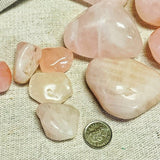 Rose Quartz (Multiple Options)