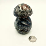 Ocean Jasper Mushrooms (Multiple Options)