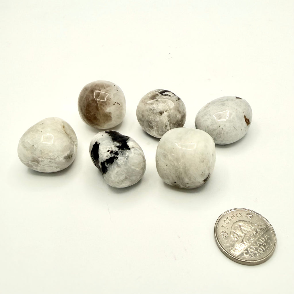 Rainbow Moonstone