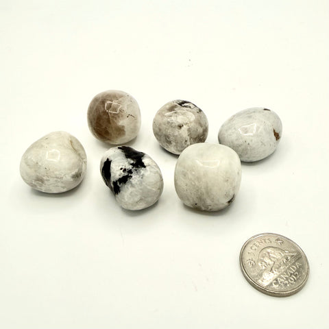 Rainbow Moonstone