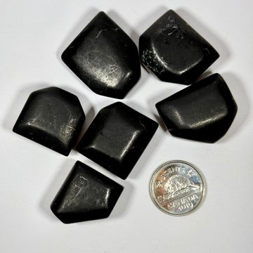 Shungite
