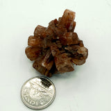 Aragonite Star Cluster (Multiple Options)