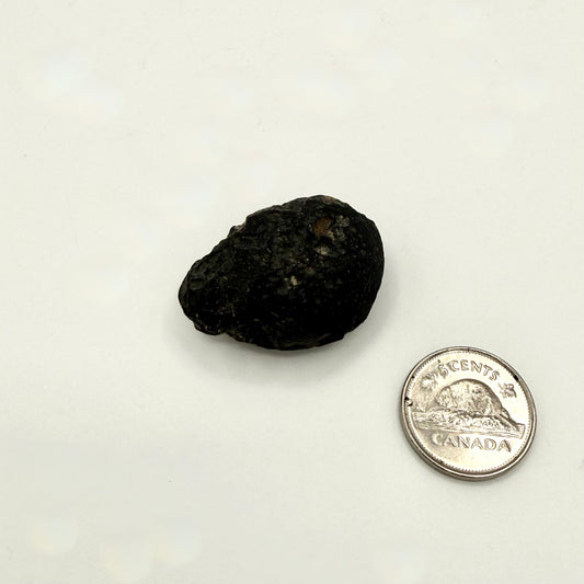 Tektite (Multiple Options)