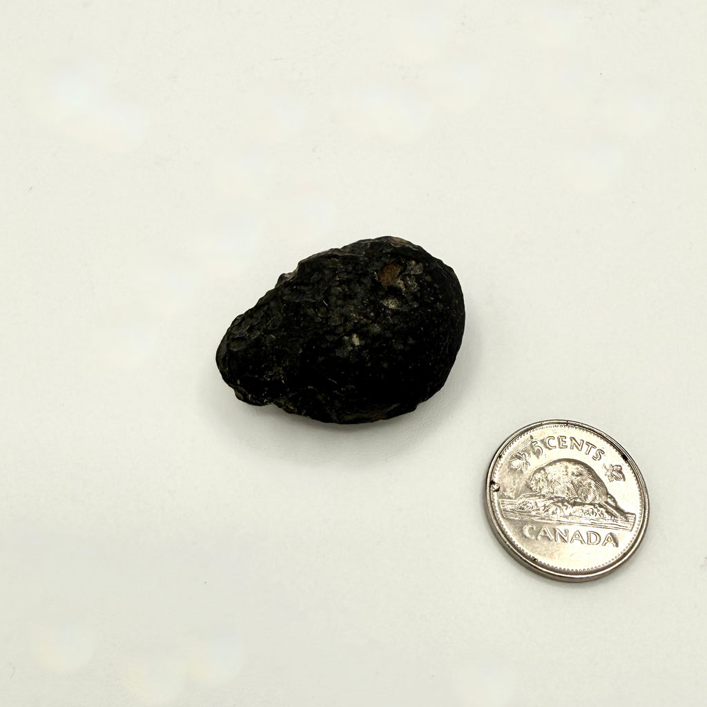 Tektite (Multiple Options)
