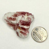 Pink Tourmaline on Matrix