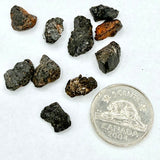 Black Tourmaline (Multiple Options)