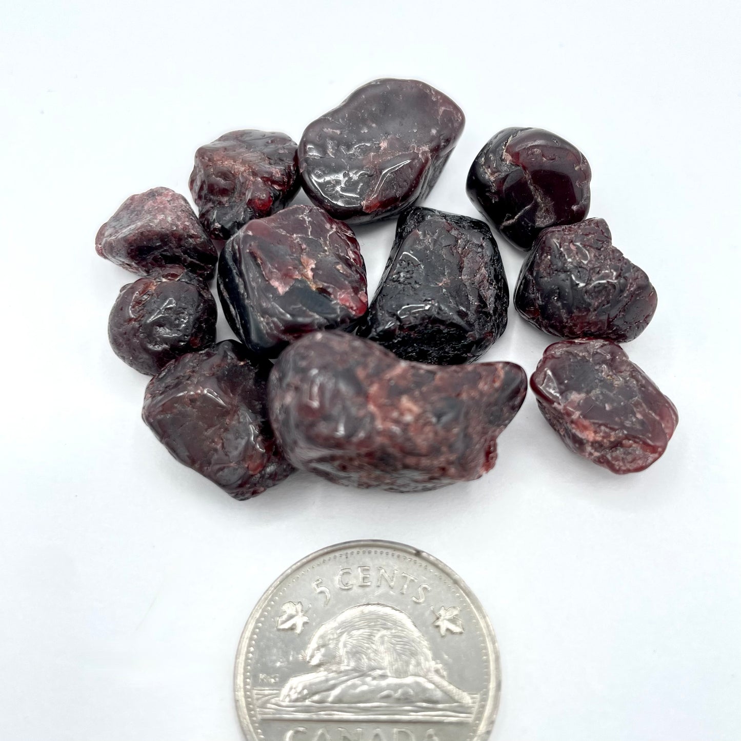 Garnet (Multiple Options)