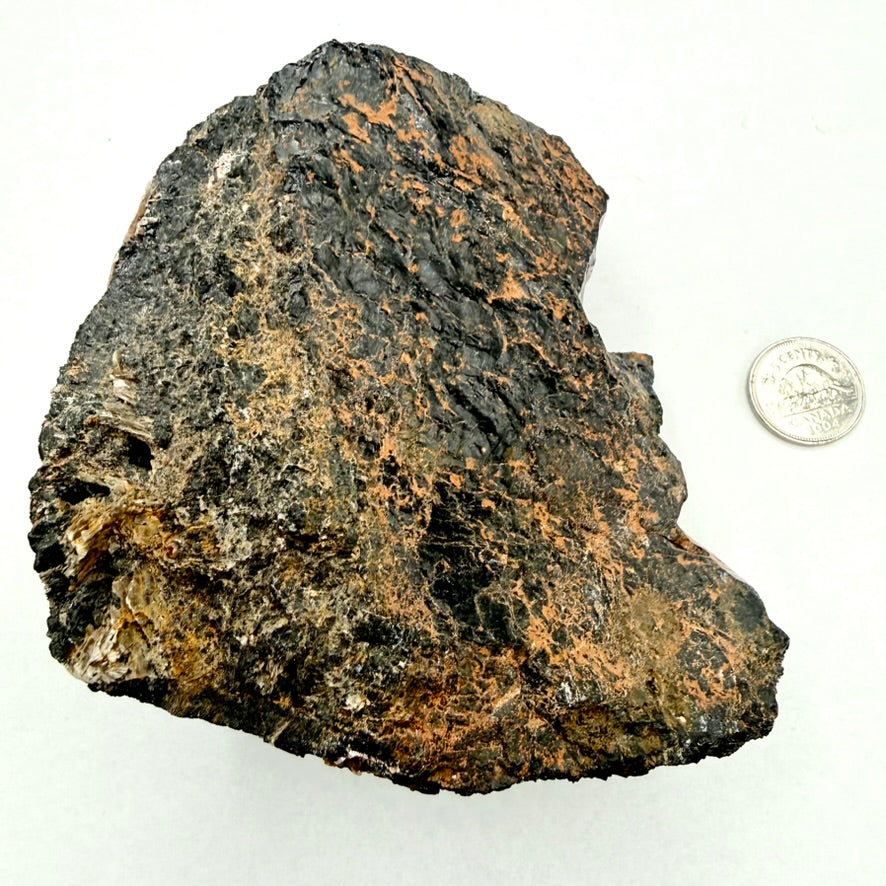 Black Tourmaline (Multiple Options)